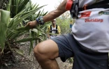 Grand raid 2018