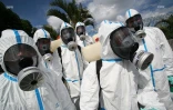 Chikungunya