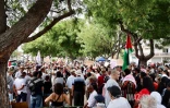 Rassemblement pour la paix en Palestine