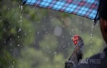 Pluie à Saint-Denis