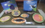 Vernissage Vava La tortue