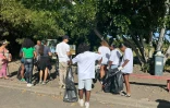  220 litres de déchets collectés lors d’une journée dédiée à l’inclusion et à l’environnement