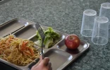 Mairie, Saint-Louis, restauration scolaire, critiques