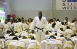 Teddy Riner judo