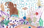 Réserve marine : les gagnants du concours de dessin dévoilés
