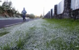 Givre plaine des cafres 
