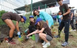 plan 1 million arbres La Possession au college Texeira da motta 