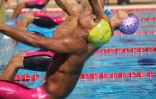natation qualif 2017