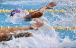 Natation