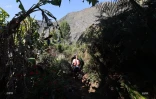 Grand raid