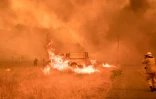 Des pompiers luttent contre un incendie près de Clearlake Oaks, le 1er juillet 2018 en Californie