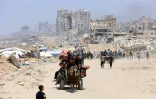 Des Palestiniens fuient le nord de la bande de Gaza le long de la route côtière al-Rachid, le 25 mai 2025