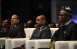 De gauche à droite, le président égyptien Abdel Fattah al-Sissi et ses homologues le Soudanais Omar al-Bashir et le nigérien Muhamadu Buhari au sommet africain, le 20 février 2016 à Charm el-Cheikh