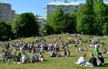 Des habitants prennent le soleil dans un parc Ă Stockholm le 30 mai 2020