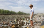 La mangrove vietnamienne recouverte de plastique dans la province de Thanh Hoa