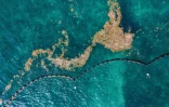 Cette vue aérienne montre des sargasses flottant près d'une barrière de confinement dans la mer des Caraïbes, au large de Puerto Morelos, dans l'État de Quintana Roo (Mexique), le 6 août 2026