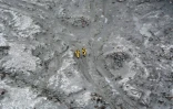 Des soldats recherchent les corps de victimes de l'éruption du volcan sur l'île de White Island, le 13 décembre 2019 en Nouvelle-Zélande