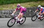 Le Français Arnaud Démare lors de la 18e étape du Giro entre Valdaora et Santa Maria Di Sala, le 30 mai 2019 