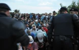 Des migrants sont surveillés par des policiers alors qu'ils tentent de monter dans des autobus près de Bapska en Croatie à la frontière avec la Serbie, le 23 septembre 2015