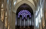 La rose ouest et l'orgue de la cathédrale Notre-Dame de Paris, le 29 novembre 2024