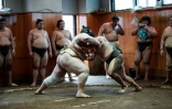 Séance d'entraînement dans une écurie de sumo à Tokyo