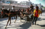 Une charrette tirée par un cheval transportant des blessés arrive à l'hôpital Nasser à Khan Younès, dans le sud de la bande de Gaza, le 20 juillet 2025