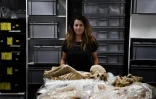 la bioarchéologue Eleanna Prevedorou devant des squelettes humains dans un laboratoire de l'Ecole américaine d'archéologie d'Athènes, le 7 juillet 2017