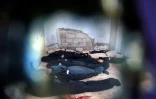 Des corps de civils tués dans des bombardements du régime syrien sur la ville de Douma, dans la Ghouta orientale, le 24 février 2018