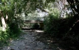 La rivière La Nouère à sec à Linars, en Charente; le 20 juillet 2026
