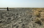 Un fermier marche sur des zones sèches exposées par le retrait des eaux dans les marais de Chibayish, frappés par la sécheresse, dans le sud de l'Irak, le 19 août 2025
