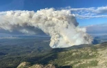 Vue aérienne du feu Young Creek, le 16 juillet 2023 à Tweedsmuir, dans la province canadienne de Colombie-Britannique 