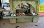 Au repos en pleine chaleur à Allahabad, en Inde, le 14 mai 2022