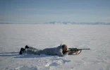 Le chasseur inuit Hjelmer Hammeken vise un phoque annelé près d'Ittoqqortoormiit, le 28 avril 2024