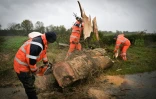 Des arbres tombés sur les voies sont débités pour dégager la route après le passage de la tempête Ciaran, à Caen, le 2 novembre 2023