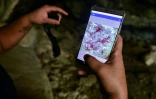 Un achéologue thaïlandais utilise une application mobile permettant de distinguer les peintures rupestres découvertes au parc national de Sam Roi Yot, au sud-ouest de Bangkok, le 10 septembre 2020 
