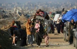 Des Palestiniens se déplacent du sud vers le nord de la bande de Gaza, le 29 janvier 2025