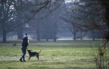 Une femme joue avec son chien dans un parc de Londres, le 23 janvier 2021