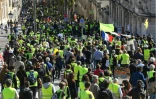 Manifestation des "gilets jaunes" samedi 16 mars 2019 à Montpellier