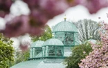 Les Serres royales de Laeken, le 14 avril 2017, à Bruxelles, avant l'ouverture du site au public pendant trois semaines