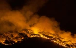 Un énorme incendie de forêt près de la station balnéaire de Marmaris (Turquie), le 1er août 2021