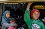 Des enfants à bord d'un camion fuient la dernière poche du groupe Etat islamique (EI) à Baghouz, dans l'est de la Syrie, le 20 février 2019