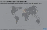 Le variant Omicron dans le monde