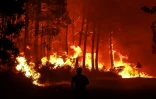 Feu de forêt près de Belin-Beliet, 11 août 2022 en Gironde