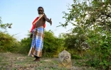 L'agriculteur Ambalavar Nallathambi Velayutham, dirigeant d’une communauté autochtone, montre une borne délimitant un terrain contesté, dans le village de Kunjankulam, à Batticaloa, le 30 septembre 2026 dans l'est du Sri Lanka