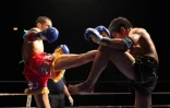 Vendredi 9 septembre 2011 - Gala de boxe Millenium World Championship au stade Jean Ivoula