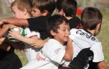 Mercredi 14 Septembre 2011

Entrainement école de rugby