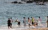Mercredi 21 Septembre 20011


Hommage à Mathieu Schiller sur la plage de Boucan Canot