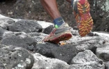 Samedi 15 Octobre 2011

Grand Raid 2011