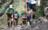 Samedi 15 Octobre 2011

Grand Raid 2011