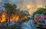 Des pompiers luttent contre un incendie dans la région touristique de Margaret River, le 8 décembre 2021 en Australie